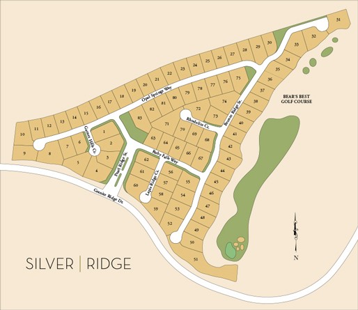 Scheduled for full build out in the first quarter of 2020, Silver Ridge at The Ridges will contain 83 luxurious new homes.