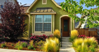 The American Dream Fight.