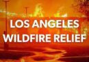 How to Help Los Angeles Wildfire Relief Efforts